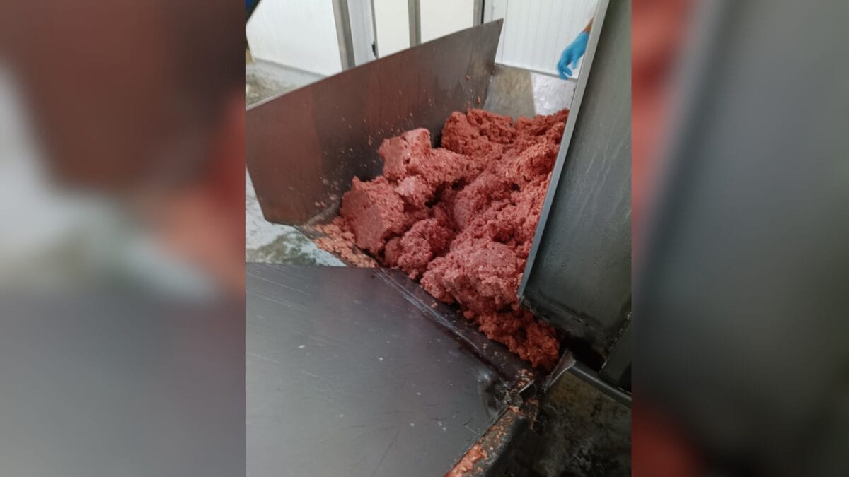 frigor&iacute;fico interditado em Coronel Freitas e Chapec&oacute;