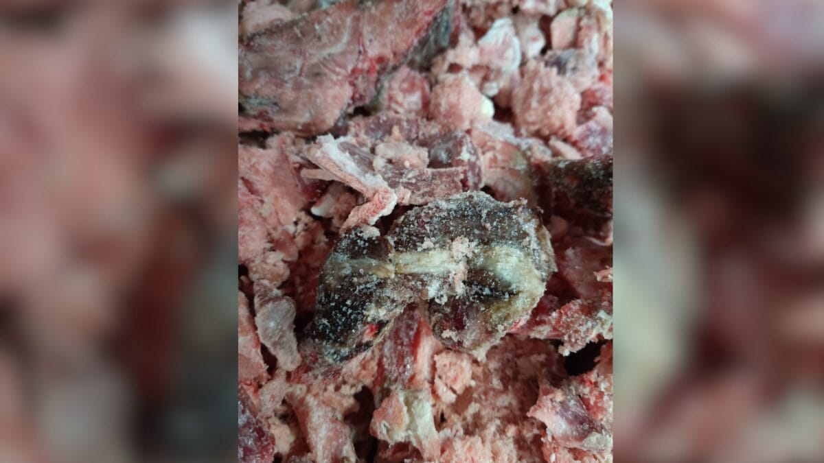 frigor&iacute;fico interditado em Coronel Freitas e Chapec&oacute;