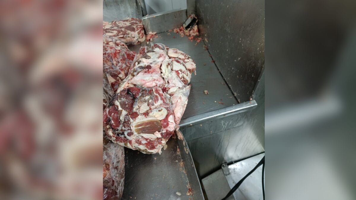 frigor&iacute;fico interditado em Coronel Freitas e Chapec&oacute;