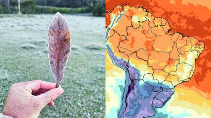 Frio na região Sul