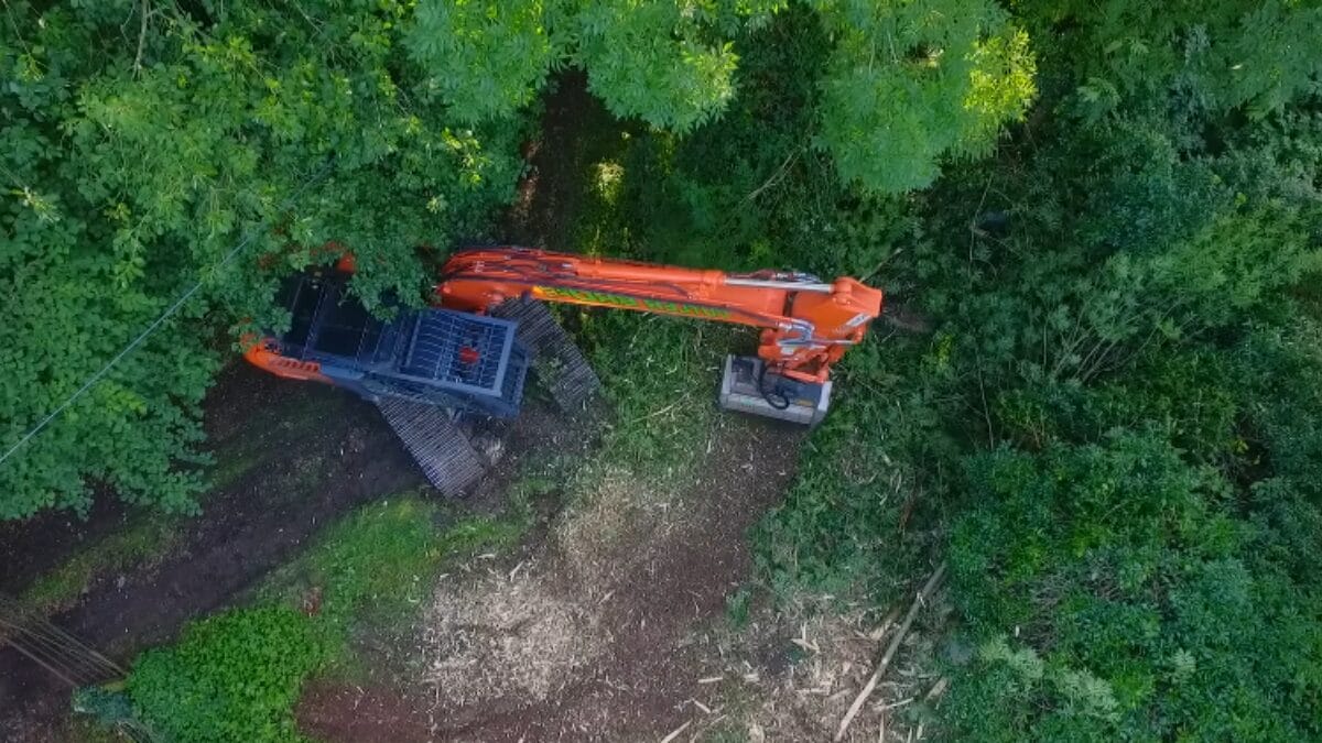 Casa antiga e abandonada ganha reforma estratégica e passa a valer 3 vezes mais