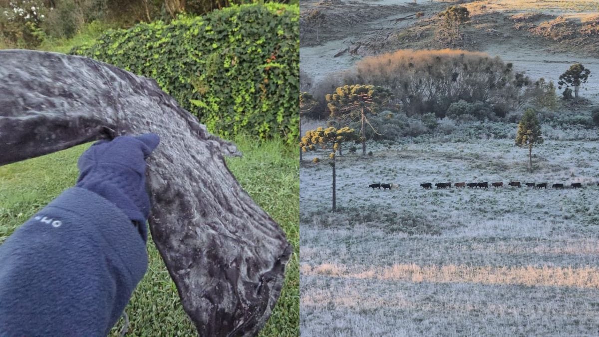 Frio na Serra de SC