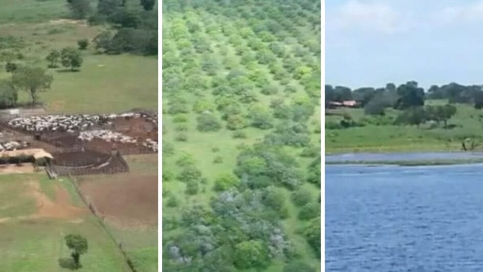 Fazenda maior que São Paulo tem posto de combustível próprio e está a venda por R$ 1,2 bilhão