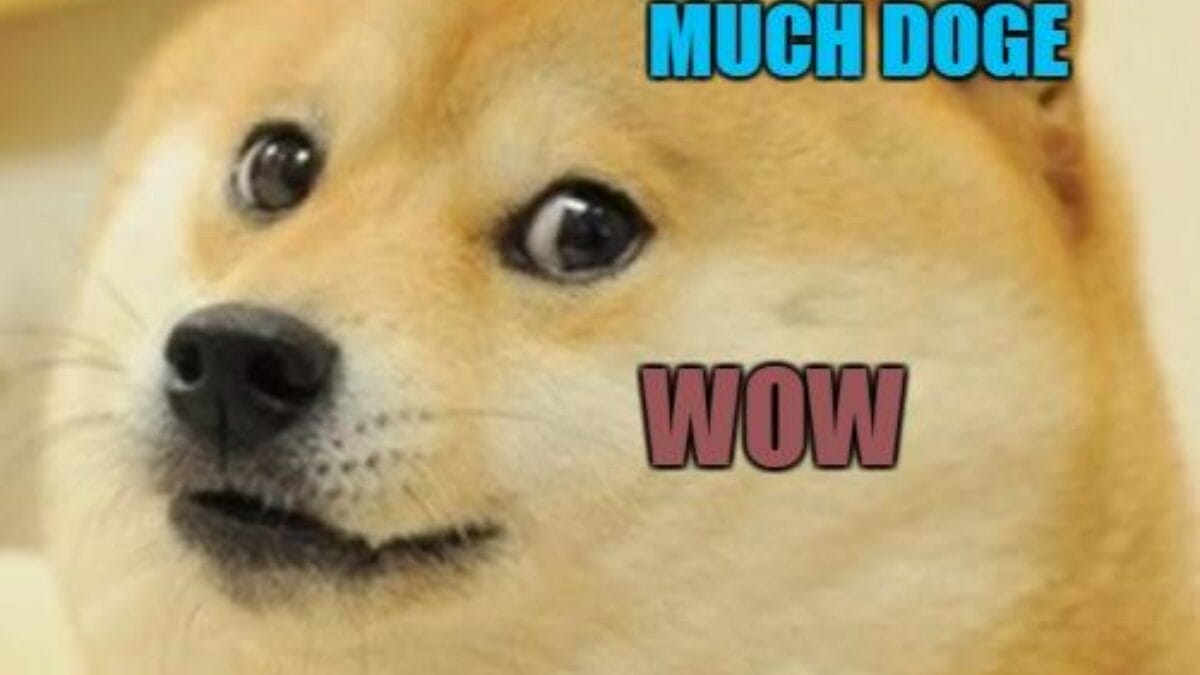 Hist&oacute;ria do meme Doge