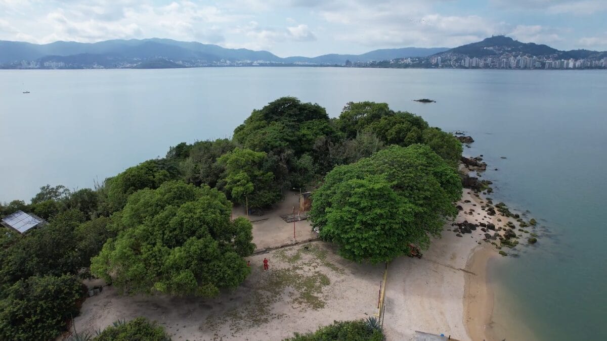 &Aacute;rea central da Ilha dos Guar&aacute;s Grande vista do alto, com clareiras, &aacute;rvores de grande porte e caminhos internos.