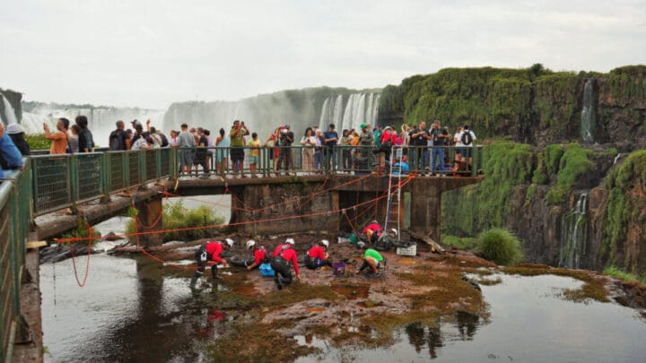 Equipe retira 400 quilos de moedas acumuladas nas águas das Cataratas (Foto: Site Cataratas do Iguaçu)