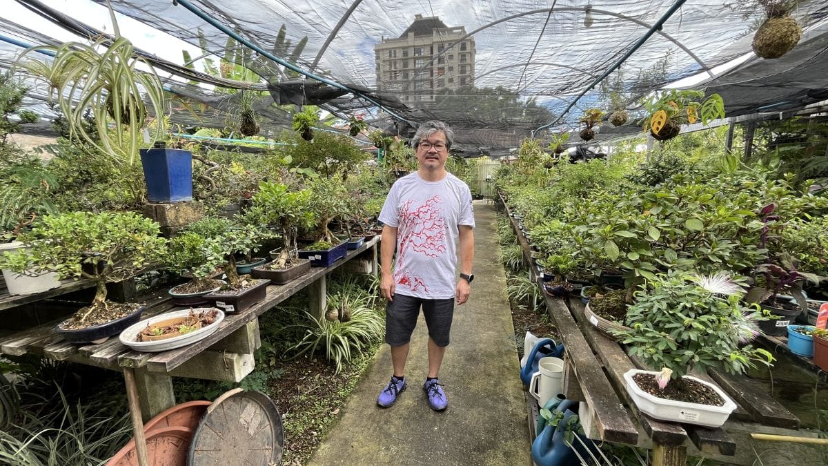 Arte do bonsai faz médico de Joinville trocar a sala de cirurgia