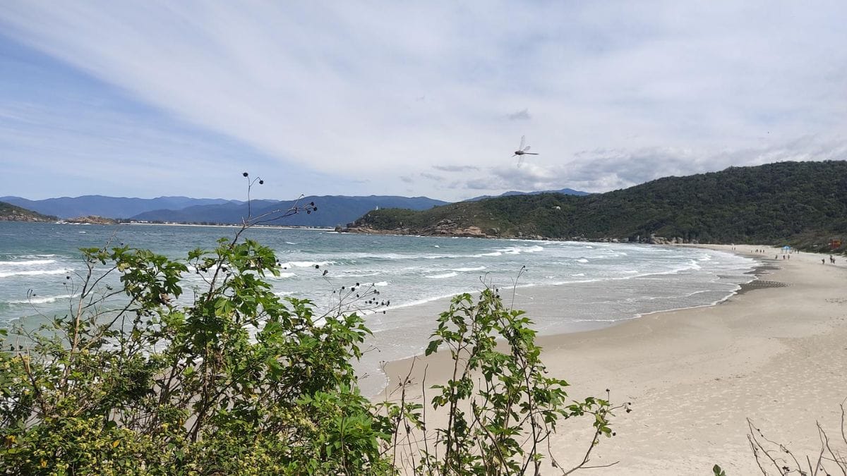 Trilha Praia da Solidão até Naufragados (1)