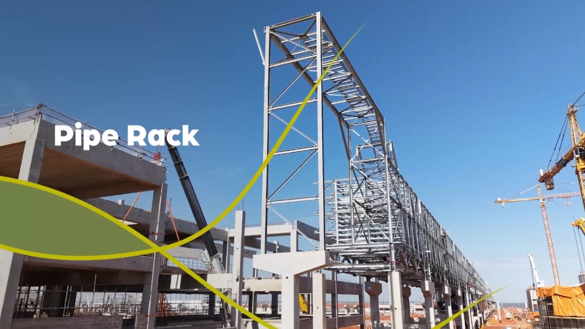 Projeto Sucuri&uacute; megaf&aacute;brica celulose avan&ccedil;o das obras