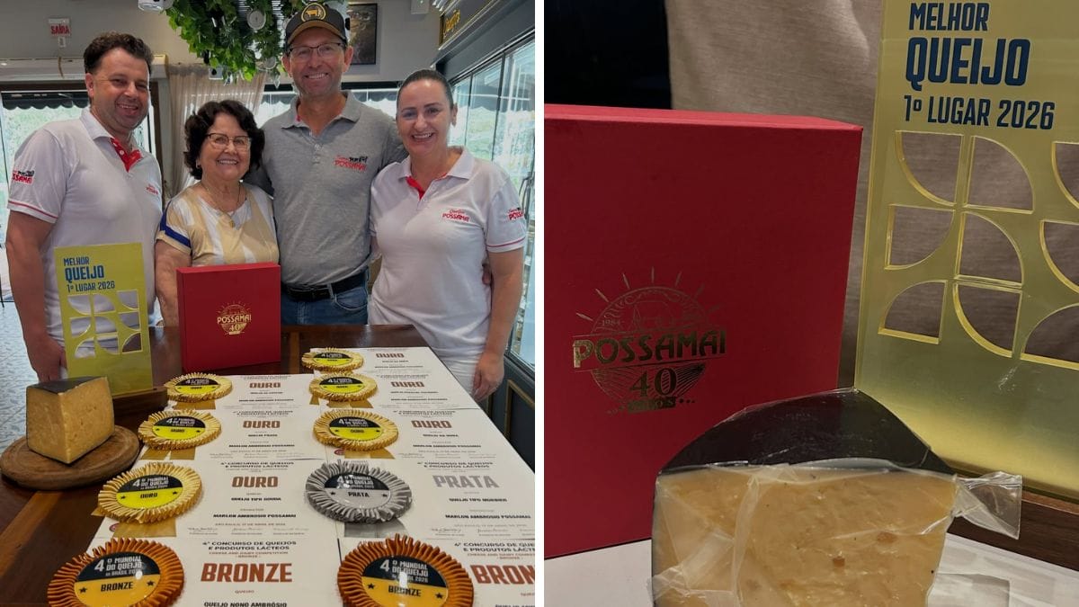 Queijo artesanal de SC supera 2,7 mil concorrentes e leva prêmio de melhor do mundo - NSC Total