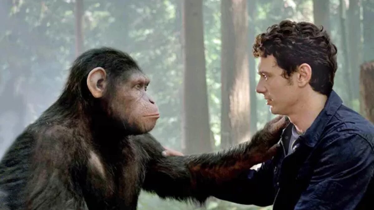 Sess&atilde;o da Tarde &ndash; quarta-feira &ndash; 29_04_2026 &ndash; _Planeta dos Macacos_ A Origem