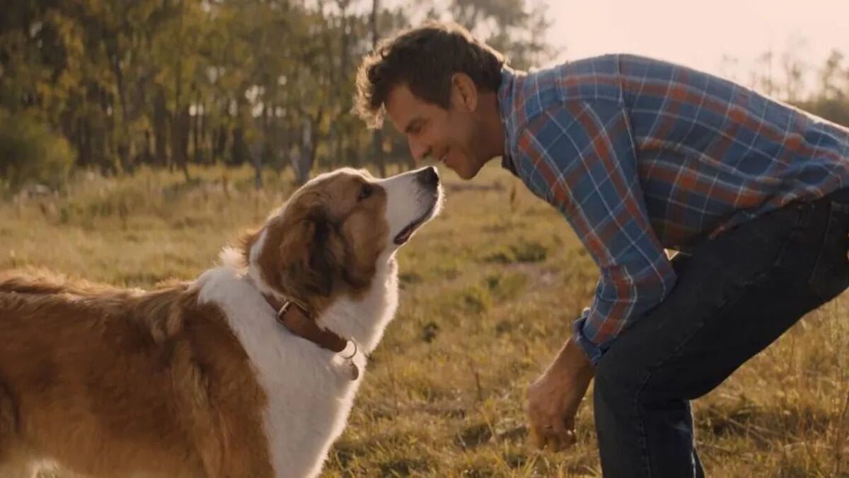 Sessão da Tarde – terça-feira – 07_04_2026 – “Juntos Para Sempre”