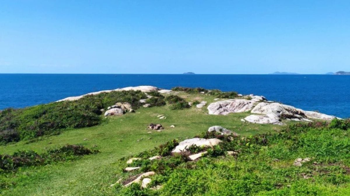 Trilha Praia da Solidão até Naufragados (1)