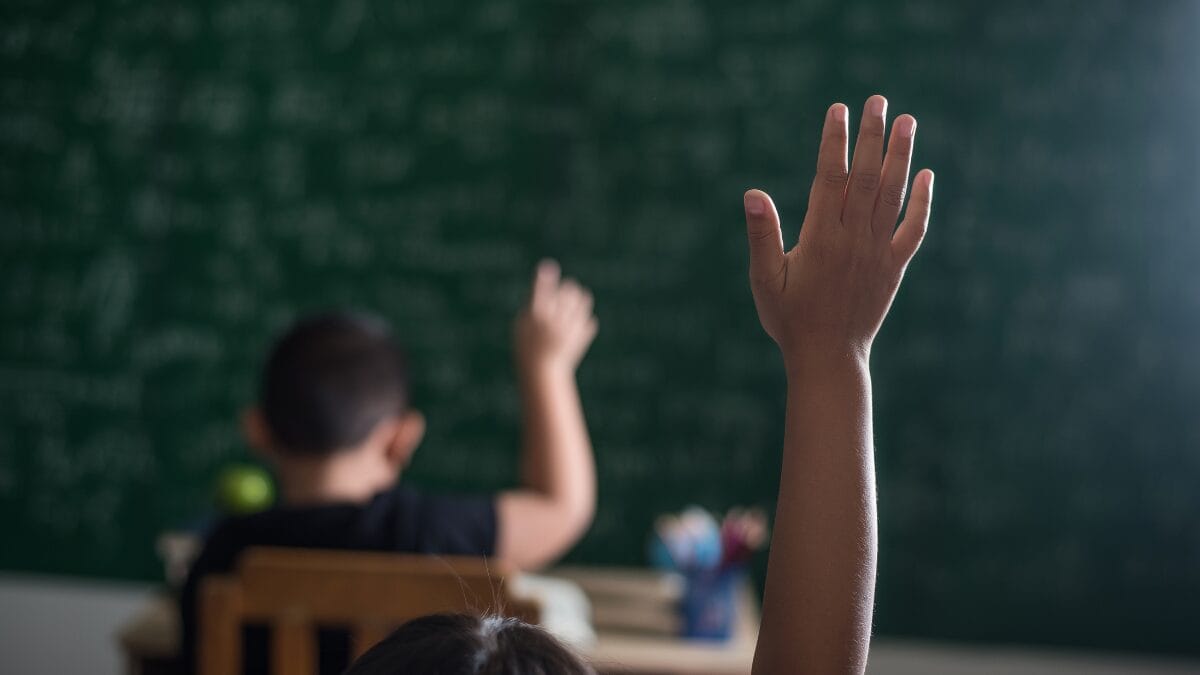 Lei atividades pedagógicas de gênero