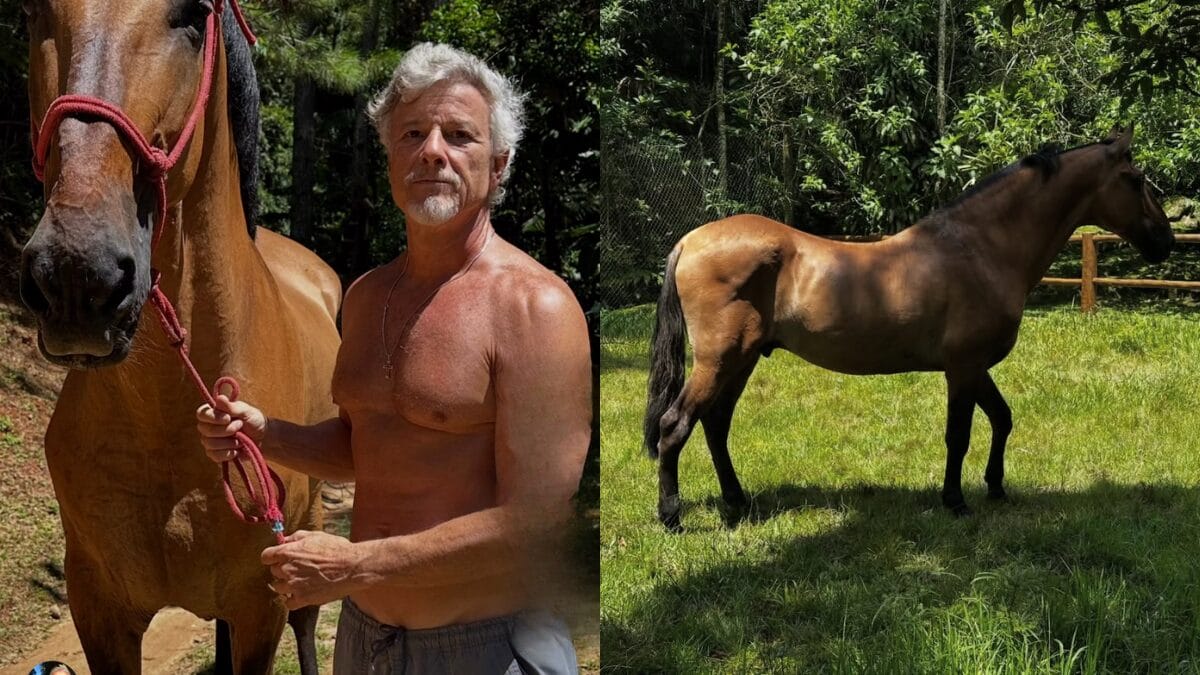 Marcello Novaes, o Max de Avenida Brasil, mostra novo morador da casa s&iacute;tio onde vive