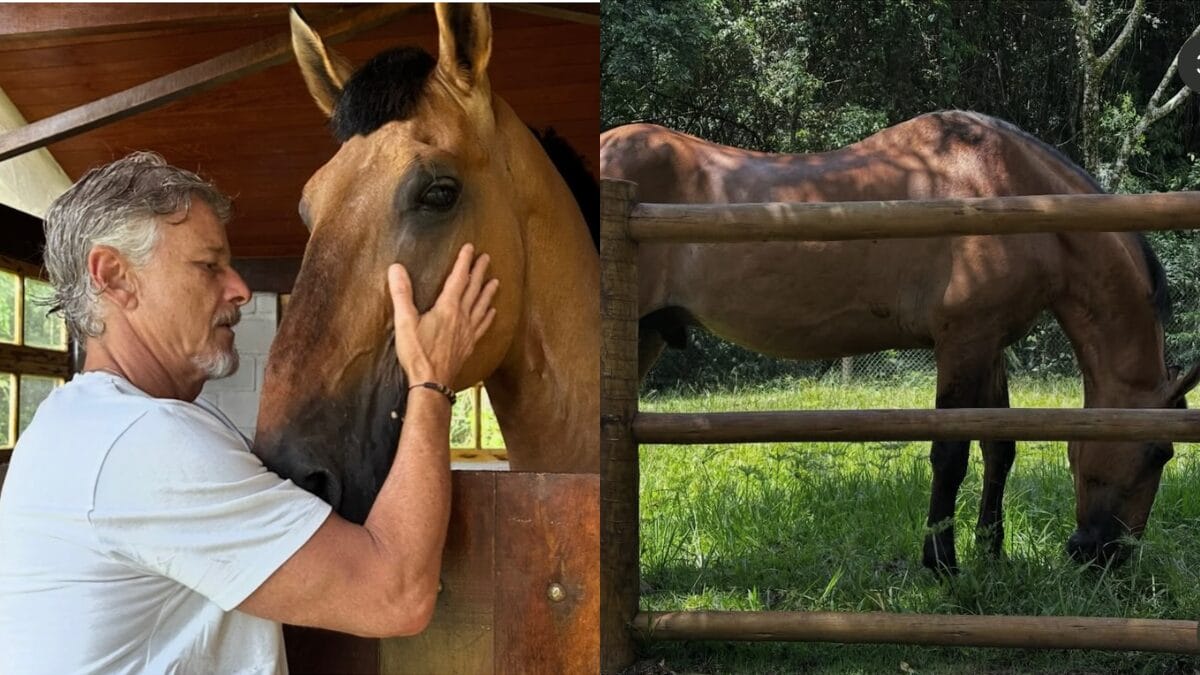 Marcello Novaes, o Max de Avenida Brasil, mostra novo morador da casa s&iacute;tio onde vive