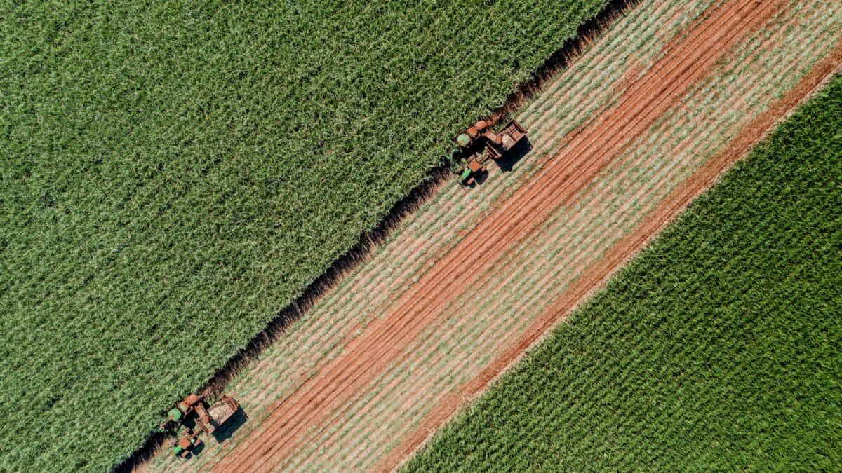 Imagem a&eacute;rea mostra m&aacute;quinas agr&iacute;colas em opera&ccedil;&atilde;o durante a colheita mecanizada em lavoura de cana-de-a&ccedil;&uacute;car