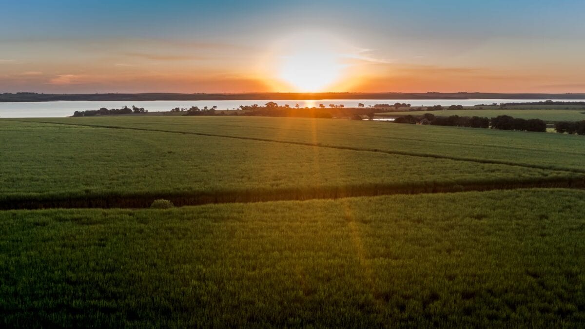 Paisagem rural com extensa &aacute;rea agr&iacute;cola verde e lago ao fundo durante o p&ocirc;r do sol, sob c&eacute;u aberto.