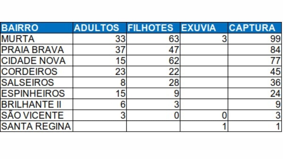 Veja quantos escorpiões foram encontrados em Itajaí em 2026 (Foto: Prefeitura de Itajaí, Divulgação)