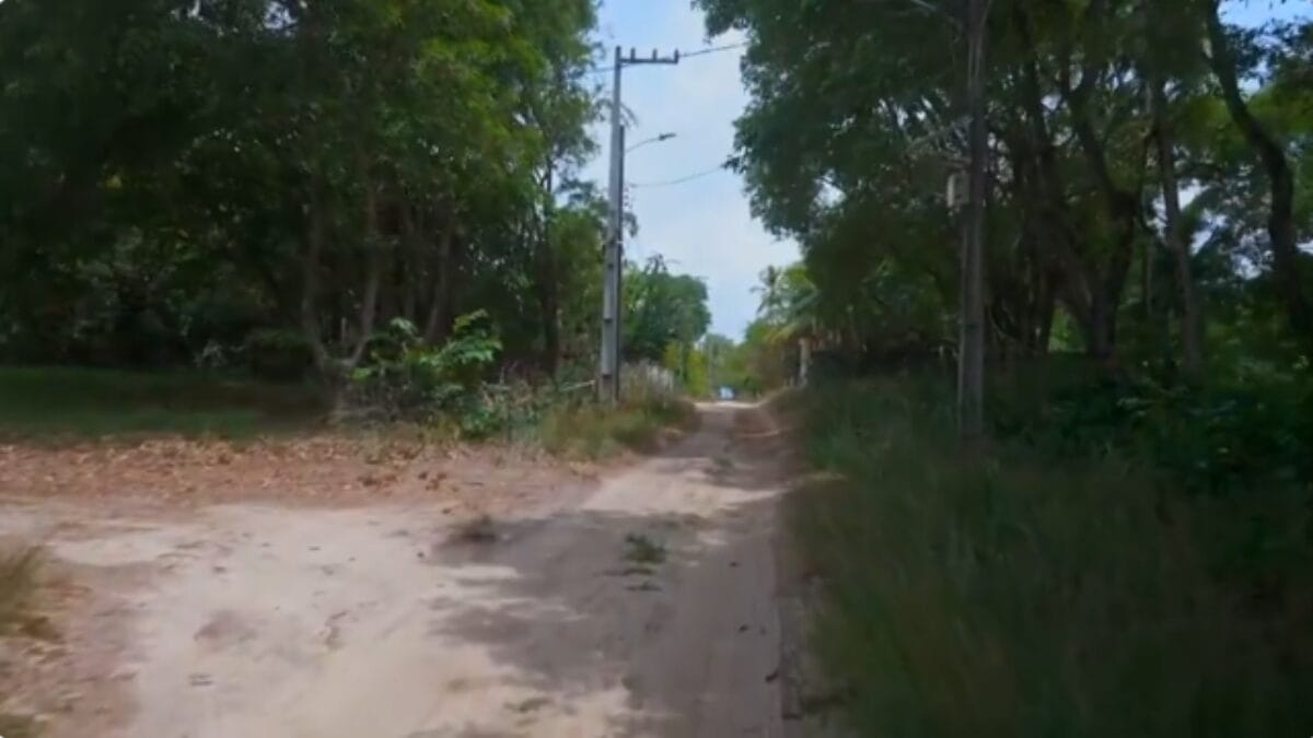 casa caranguejo cantor 