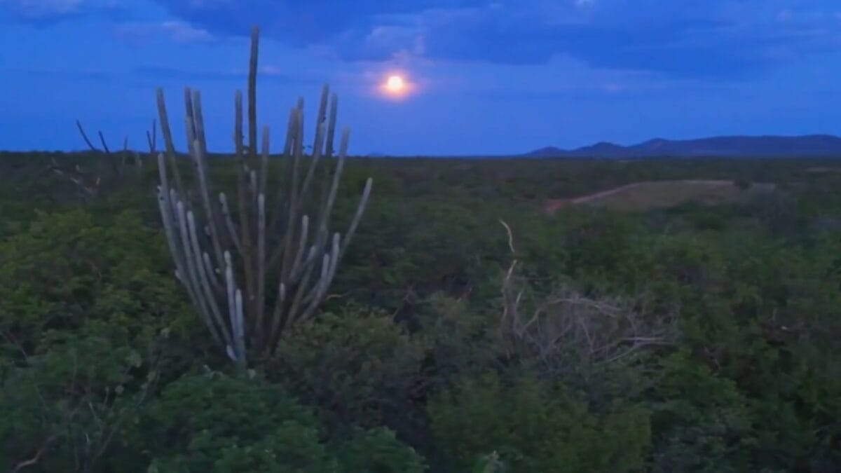 casa sert&atilde;o joao gomes