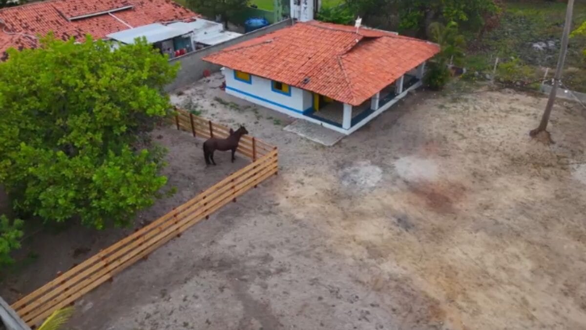 casa caranguejo cantor 