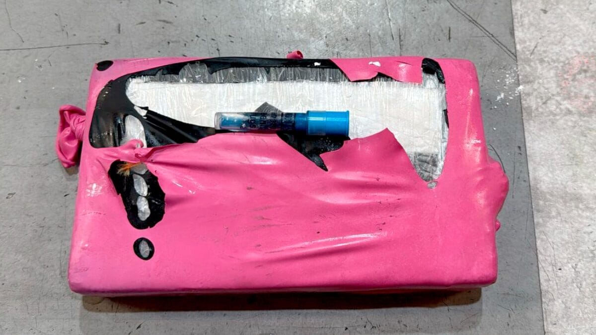 Coca&iacute;na &eacute; encontrada no Porto de Navegantes