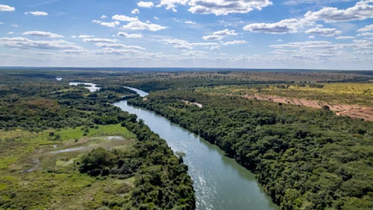 Rio Sucuri&uacute; corta &aacute;rea de vegeta&ccedil;&atilde;o nativa pr&oacute;xima ao local onde ser&aacute; instalada a f&aacute;brica.