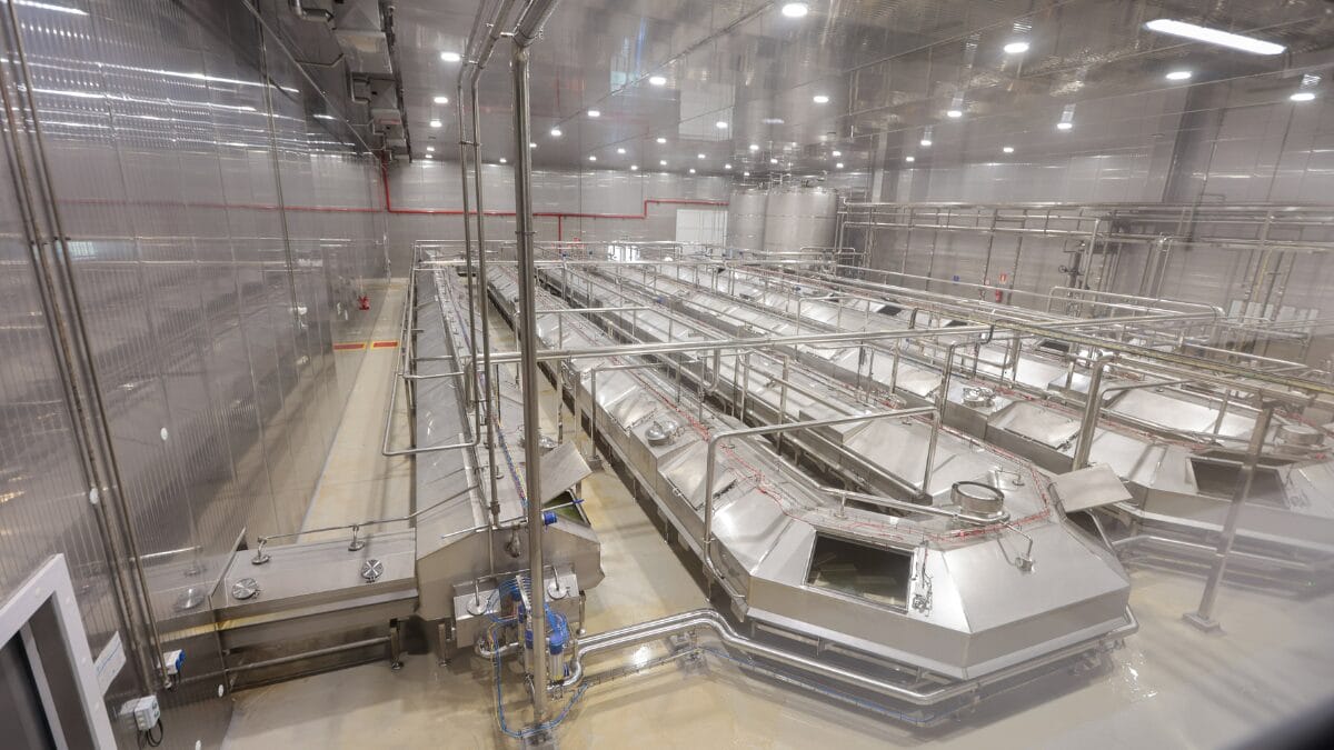 &Aacute;rea interna da f&aacute;brica com linhas de produ&ccedil;&atilde;o, equipamentos industriais e sistemas automatizados.