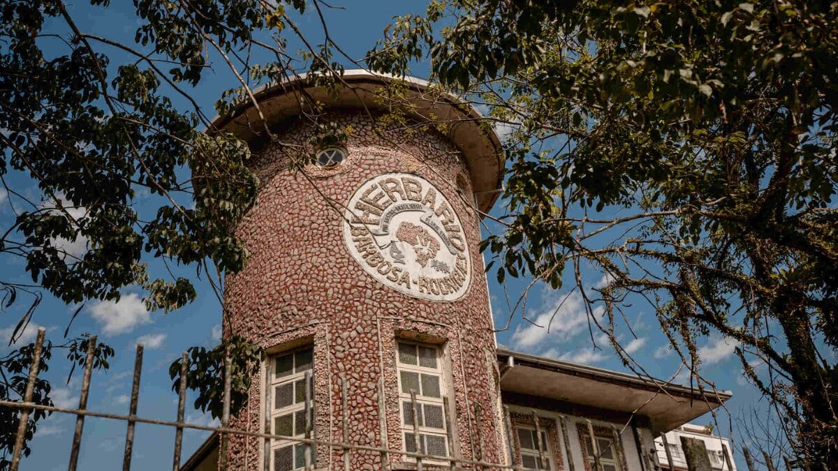 Itaja&iacute; conta com herb&aacute;rio hist&oacute;rico