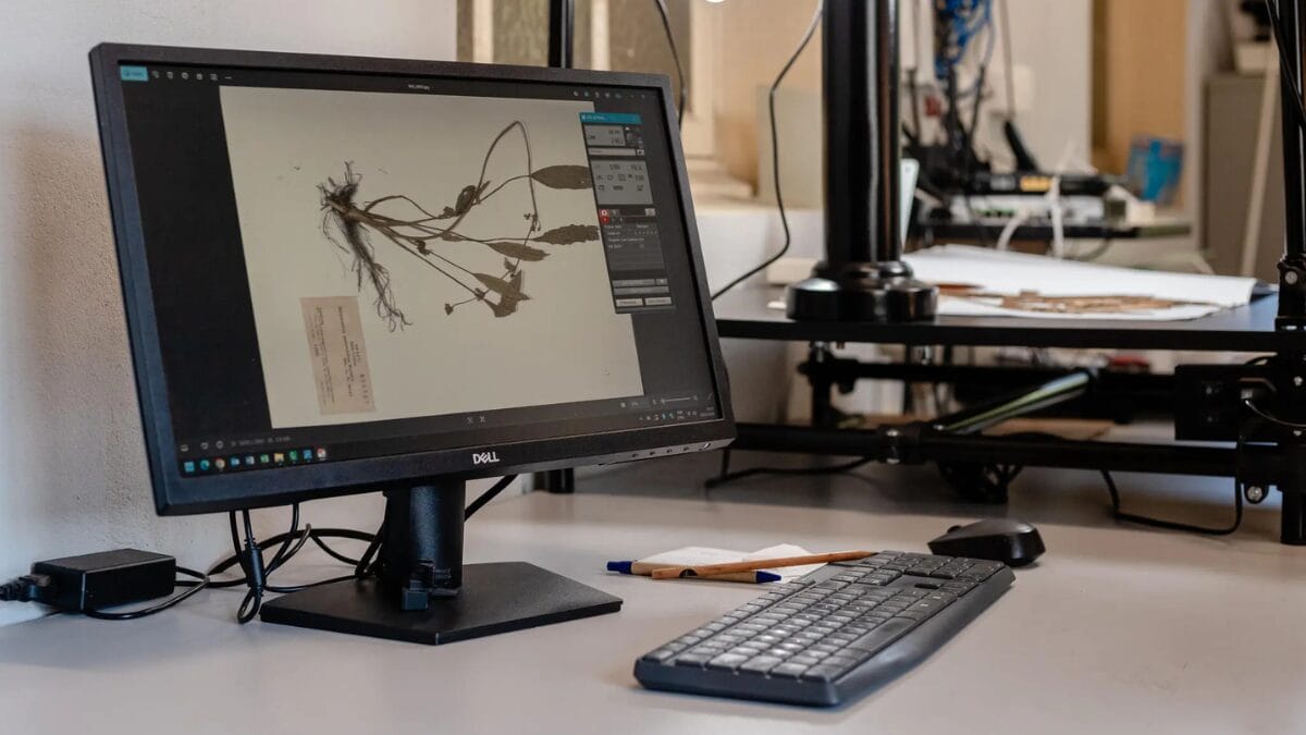 Itaja&iacute; conta com herb&aacute;rio hist&oacute;rico