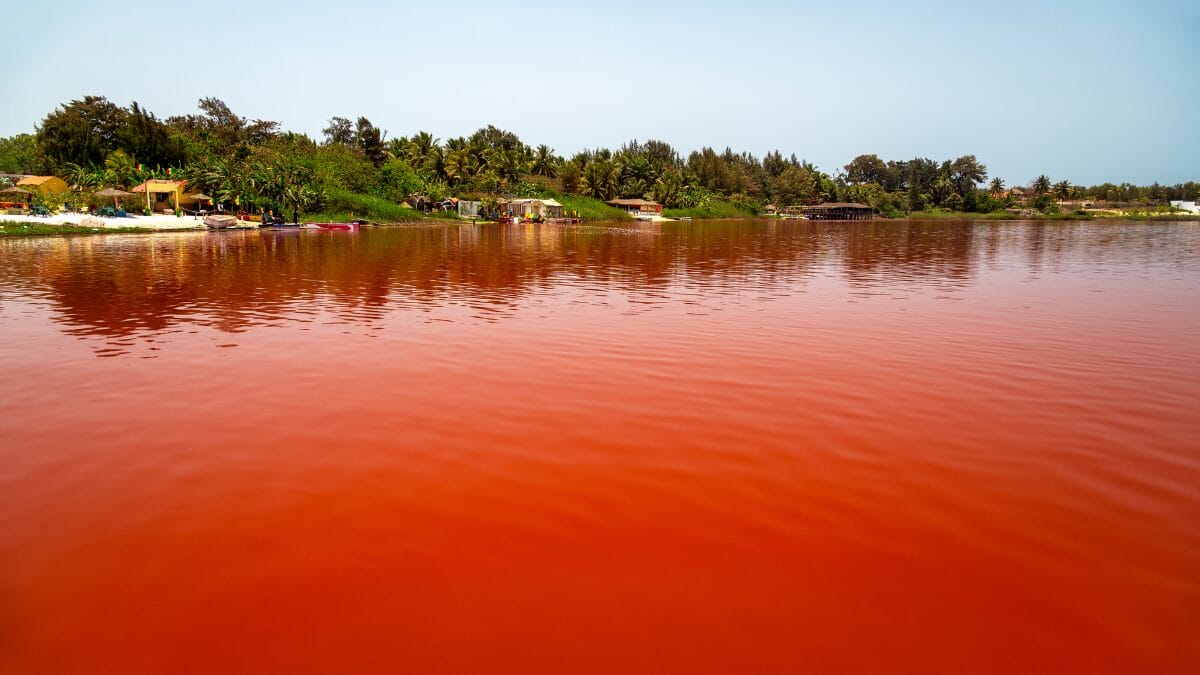 lagos rosa pelo mundo
