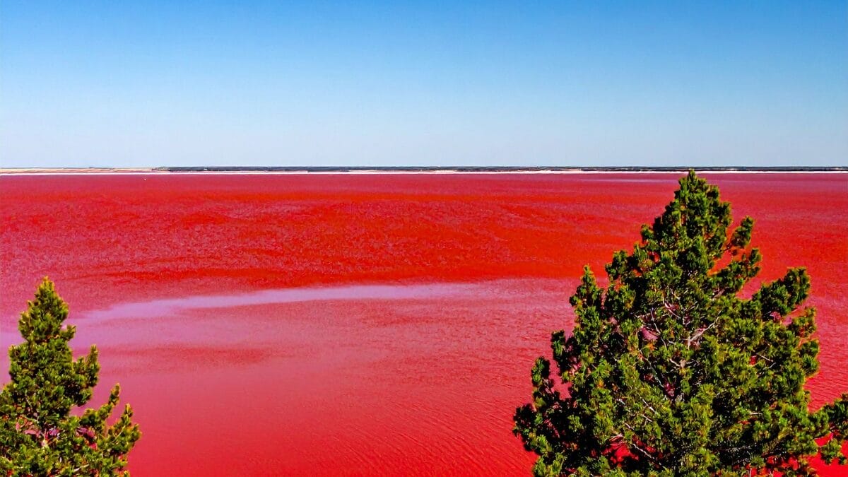 lagos rosa pelo mundo