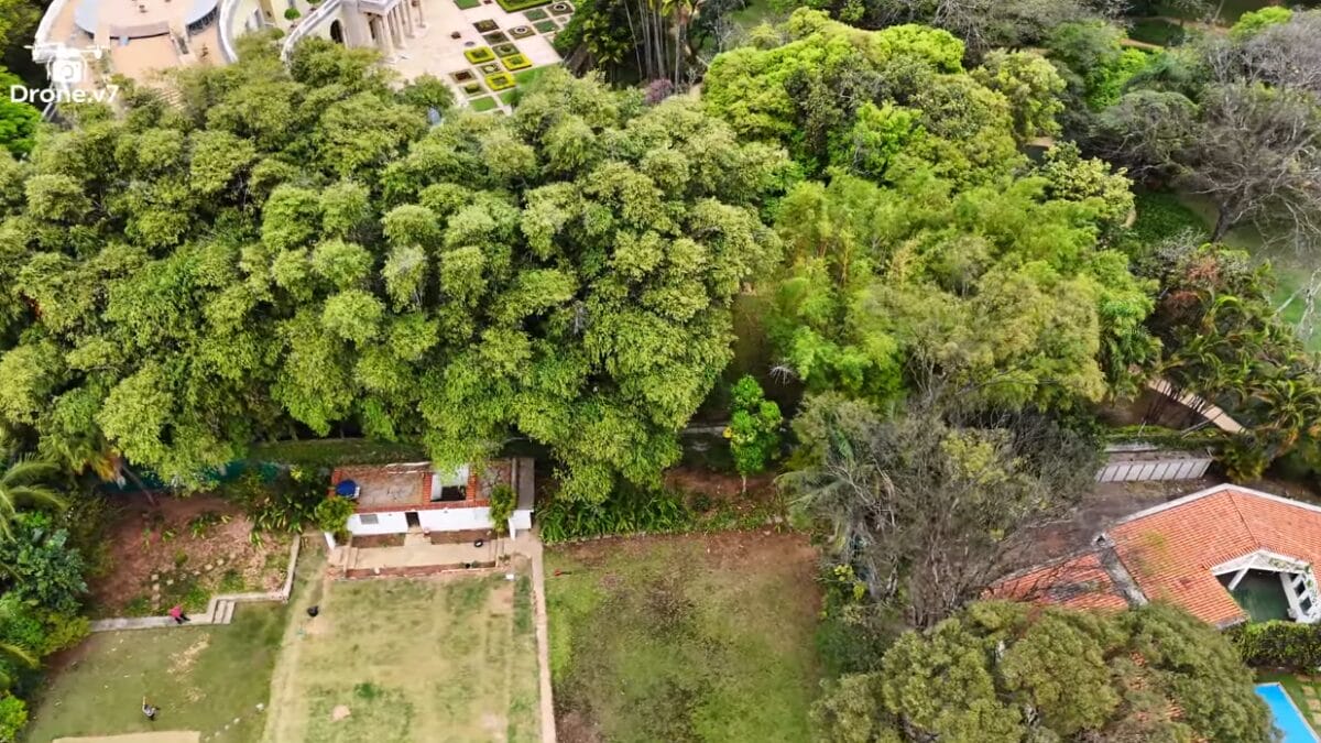 mansão safra da mulher mais rica do brasil