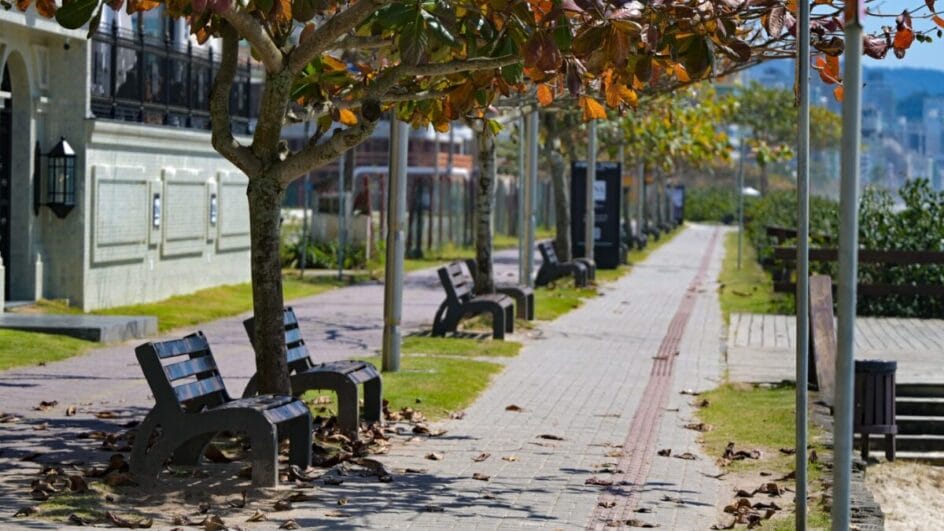 Outono iniciou no dia 20 de março (Foto: Eduardo Valente, Secom GOV SC)