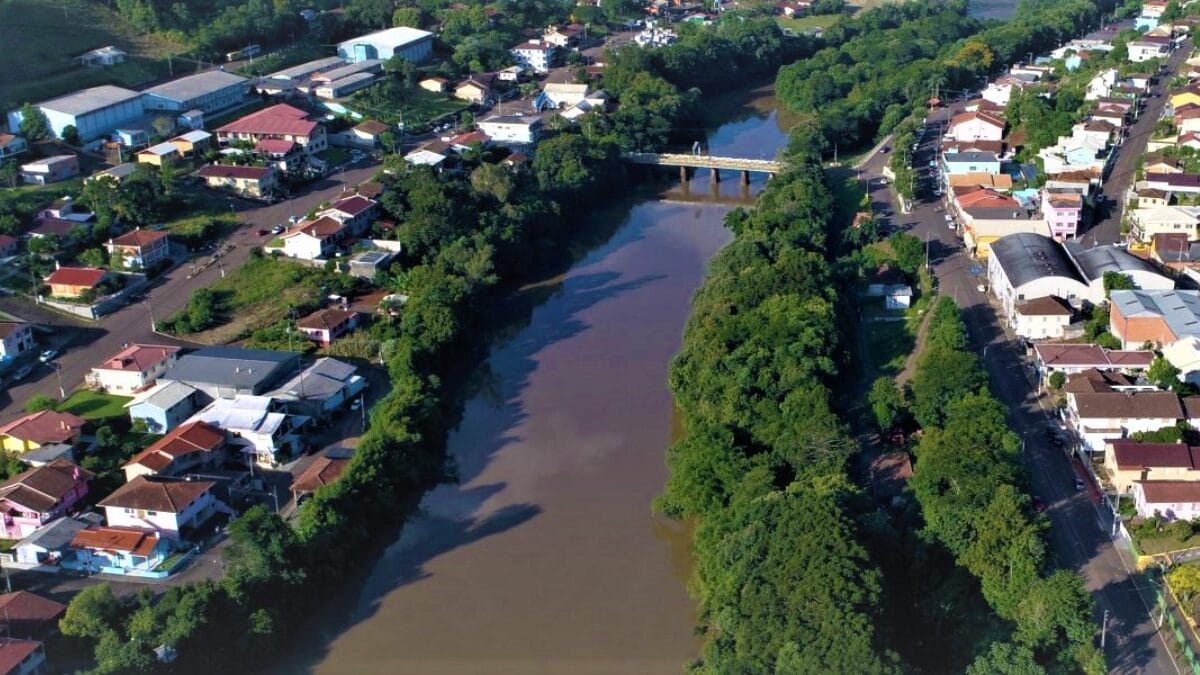 Pinheiro Preto
