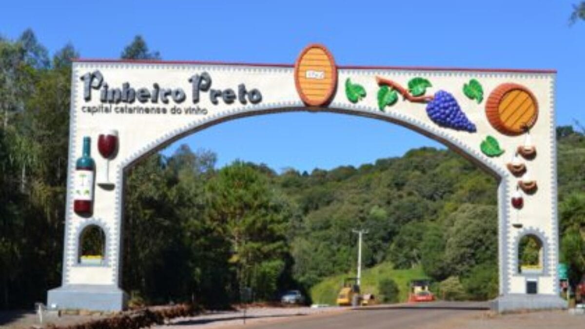 Pinheiro Preto