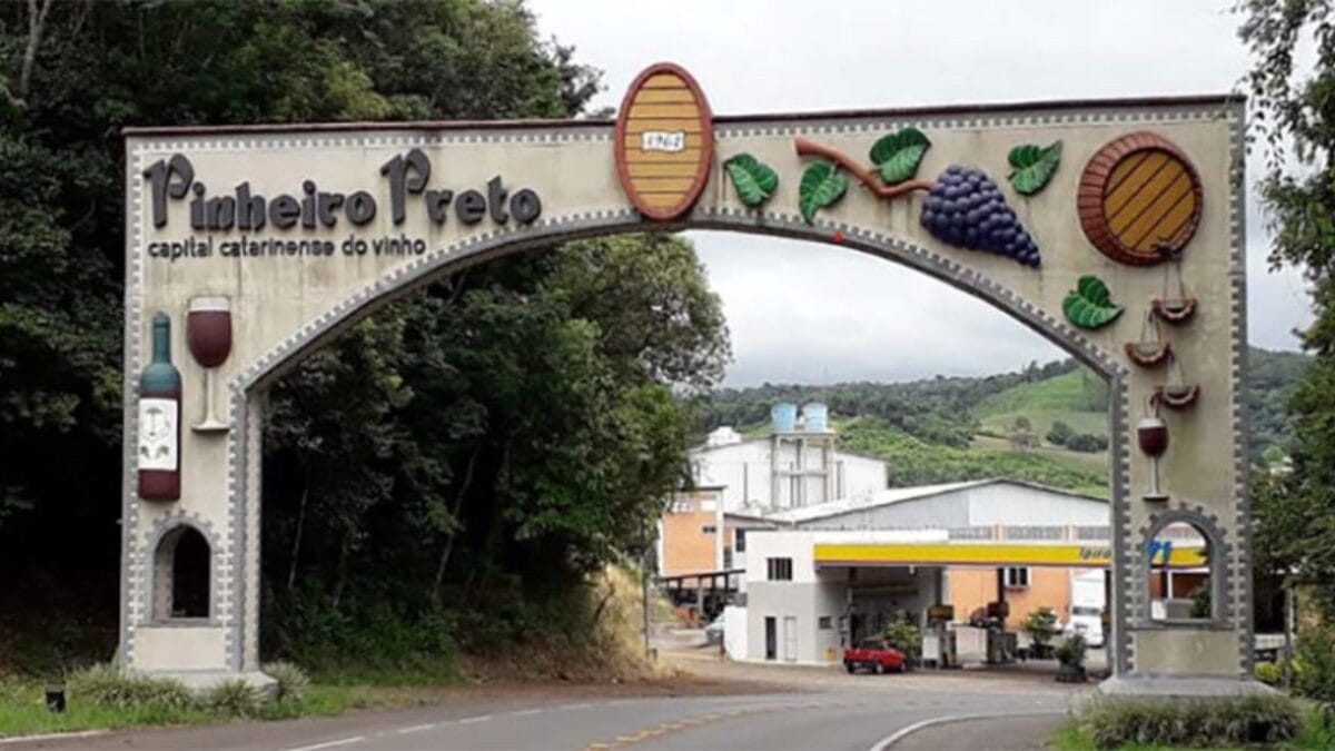 Pinheiro Preto