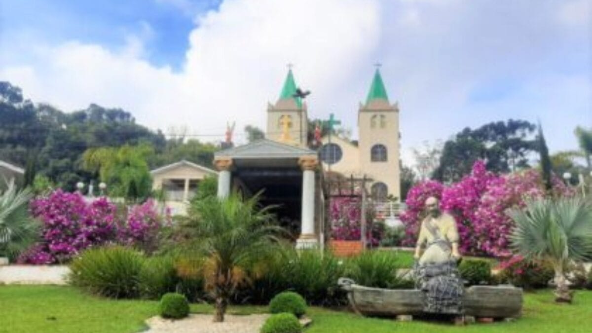 Pinheiro Preto