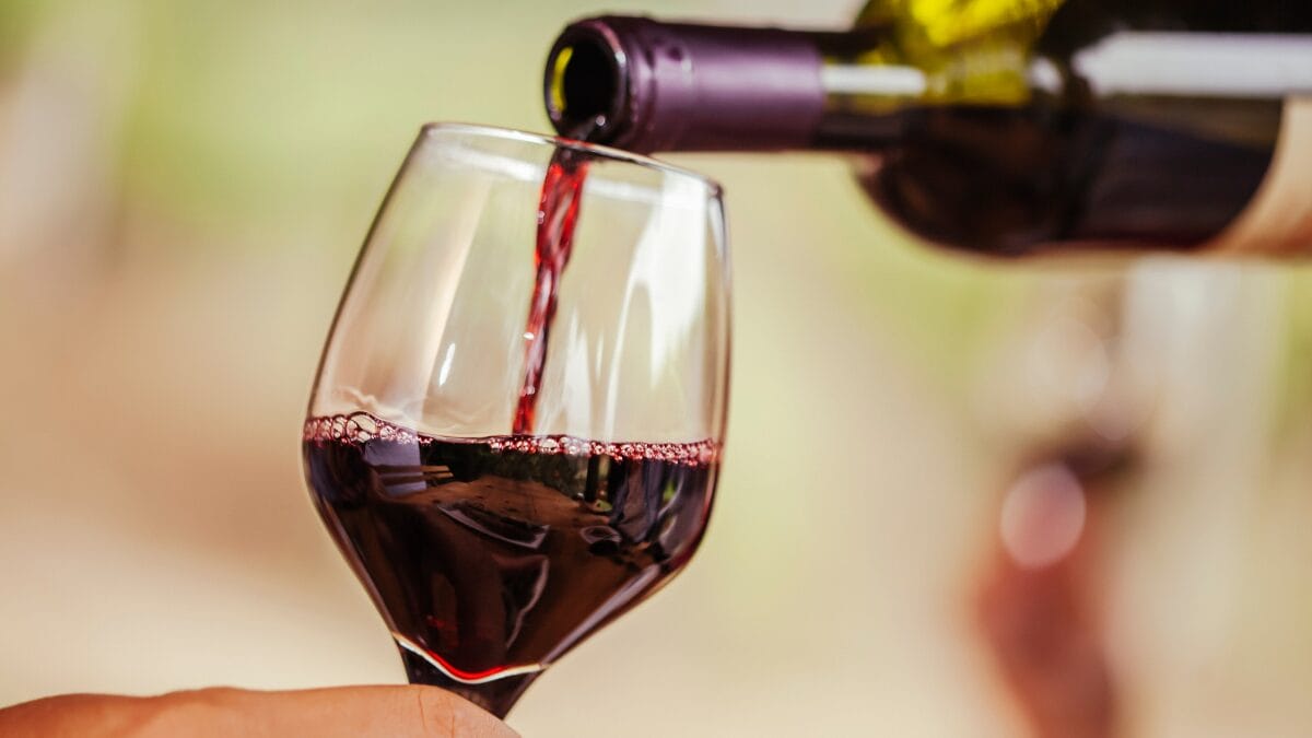 Vinhos