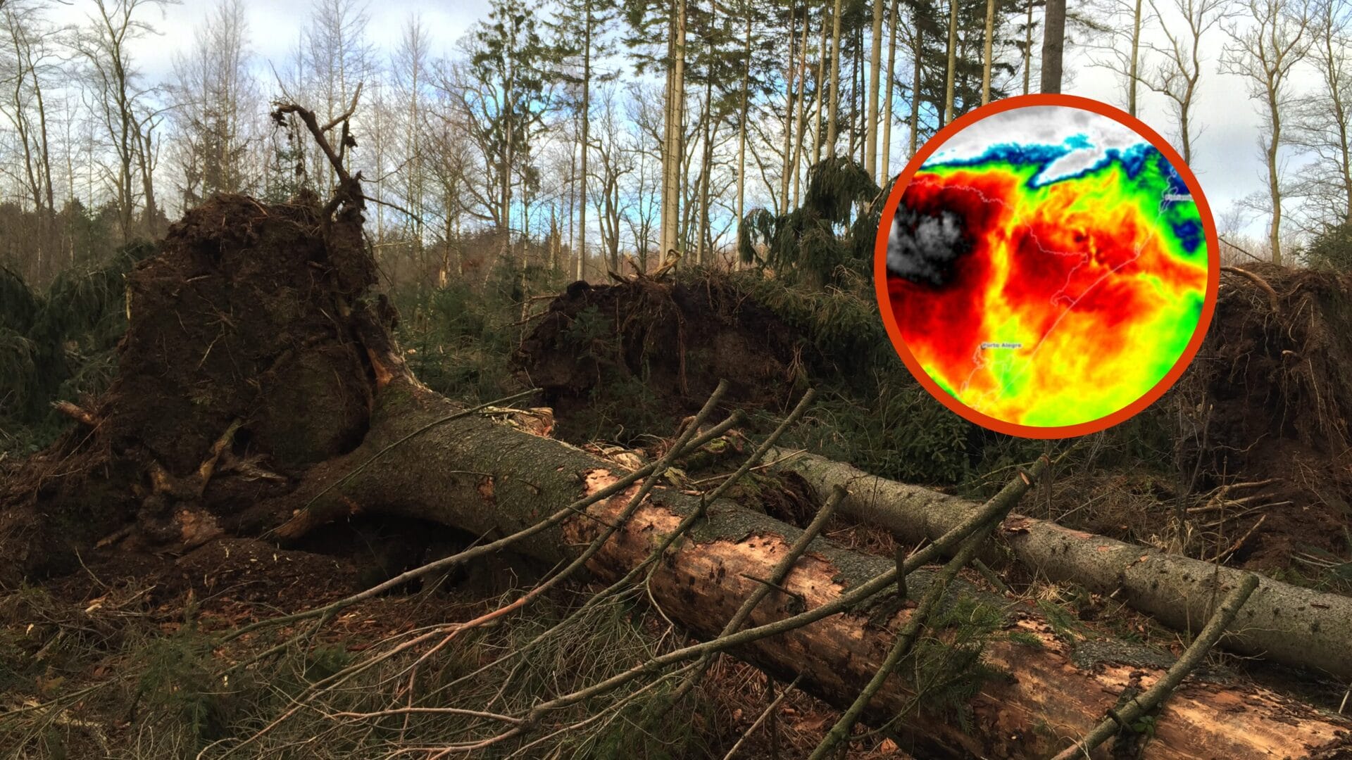 Tempestade severa causa estragos em Santa Catarina