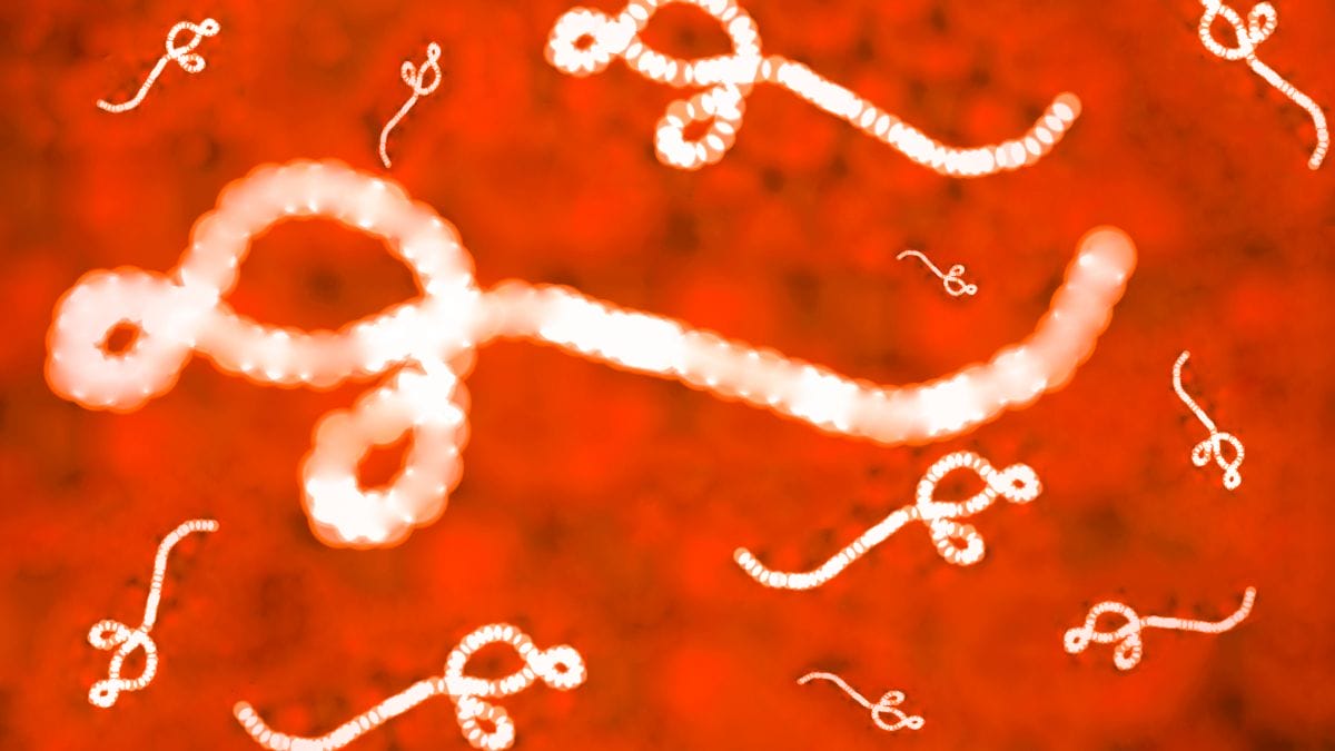 Ebola