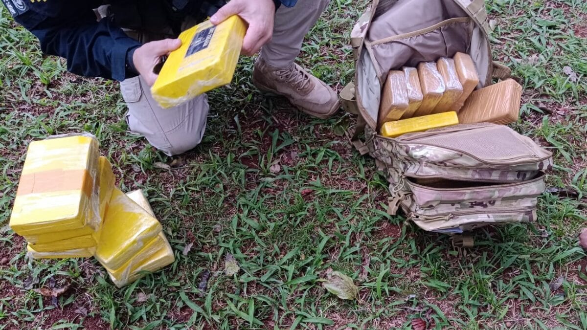 Motorista tenta escapar de fiscalização, bate em vários carros e acaba preso na mata em SC