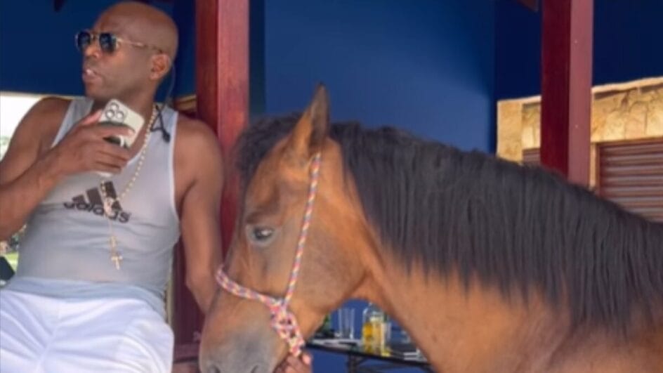 Faustino Asprilla exibe cavalo (Foto: Reprodução, Instagram)