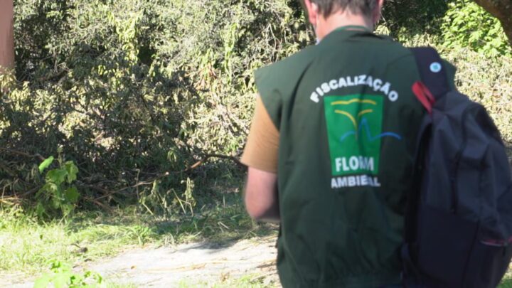 Fiscalizações ambientais ficarão suspensas por dois meses em Florianópolis, decide Floram