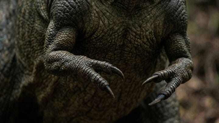 Evolutivamente, os braços do T. Rex encolheram à medida que sua cabeça se tornava mais robusta e utilizada para abater presas (Imagem gerada por IA / Google Gemini)