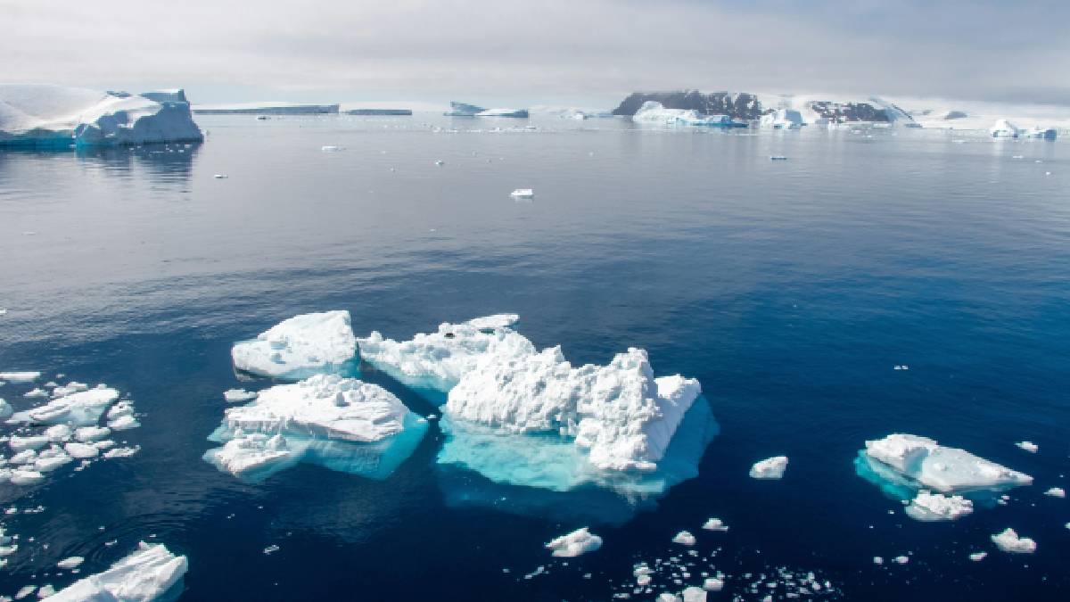 Fragmentos de gelo flutuante no oceano: o efeito direto do colapso das plataformas de gelo e o desafio iminente para o nível do mar global (Imagem: Pexels)