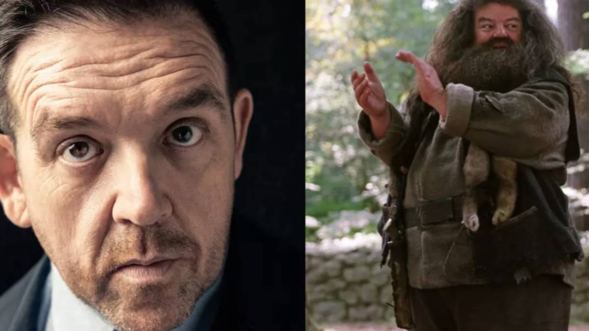 Nick Frost como R&uacute;beo Hagrid (Imagem: Divulga&ccedil;&atilde;o)