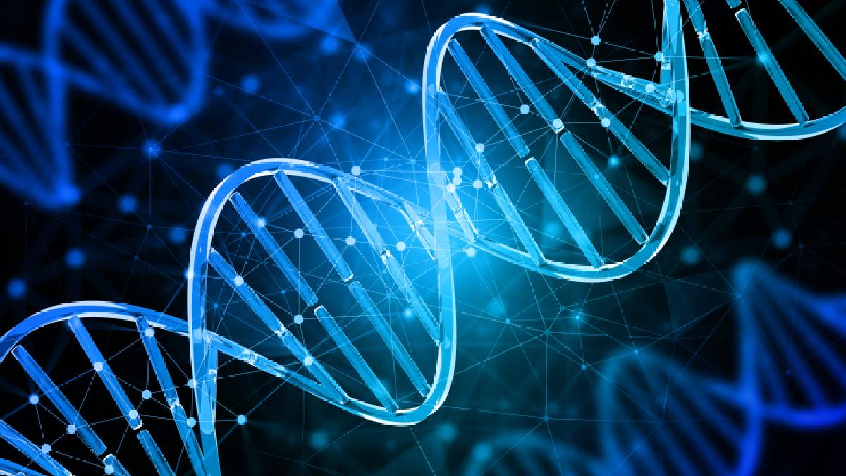 O mapeamento do genoma permite que cientistas busquem entender como pequenas muta&ccedil;&otilde;es pavimentaram o caminho para a comunica&ccedil;&atilde;o oral (Imagem: Pexels)