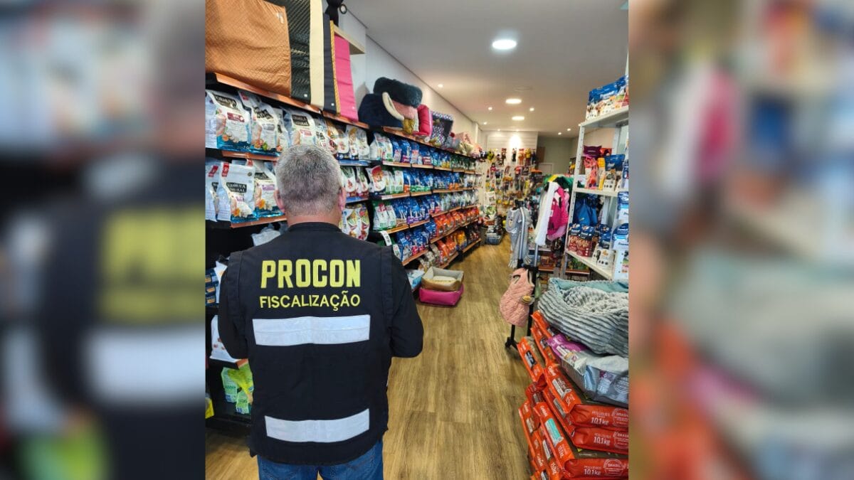 Perigo no banho e tosa Procon flagra irregularidades em pet shops de Florianópolis